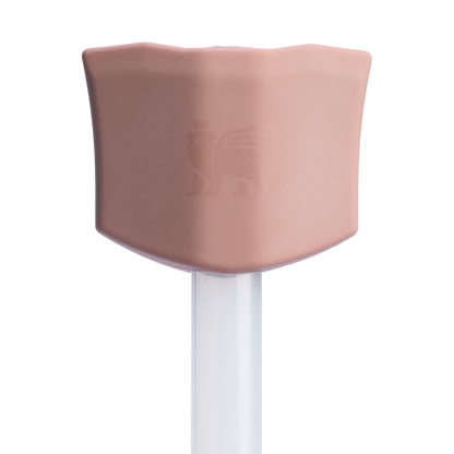 The Stay Smooth Straw Topper | 2-pack CN6